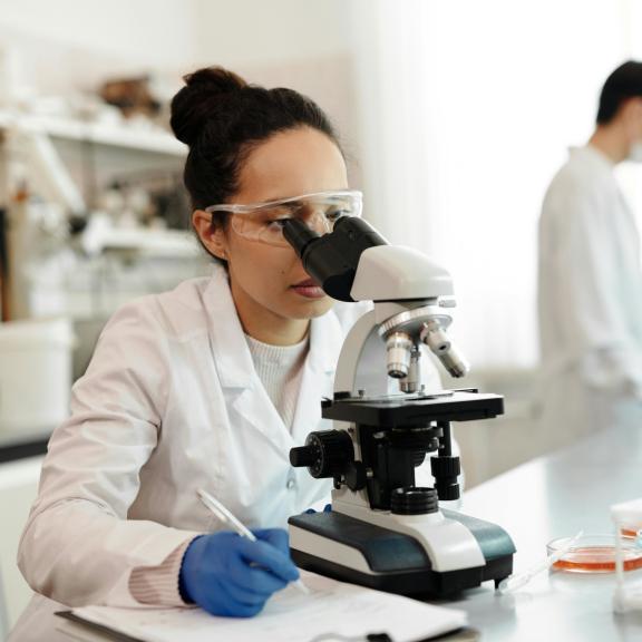 02-research-funding-pexels-optim